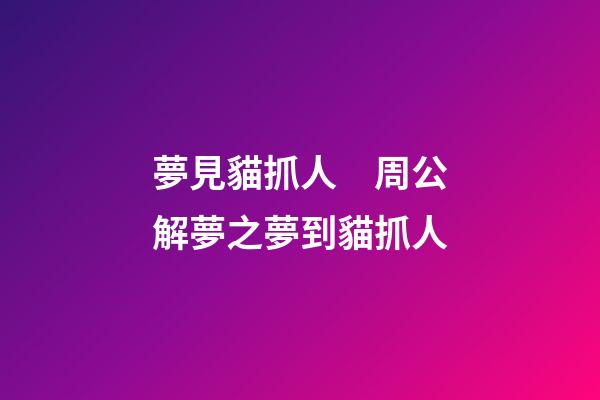 夢見貓抓人　周公解夢之夢到貓抓人